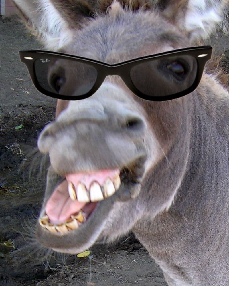 Double Meaning Shayari